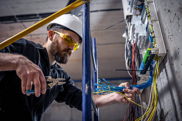 Best Electrical System Inspection  in Durand, MI